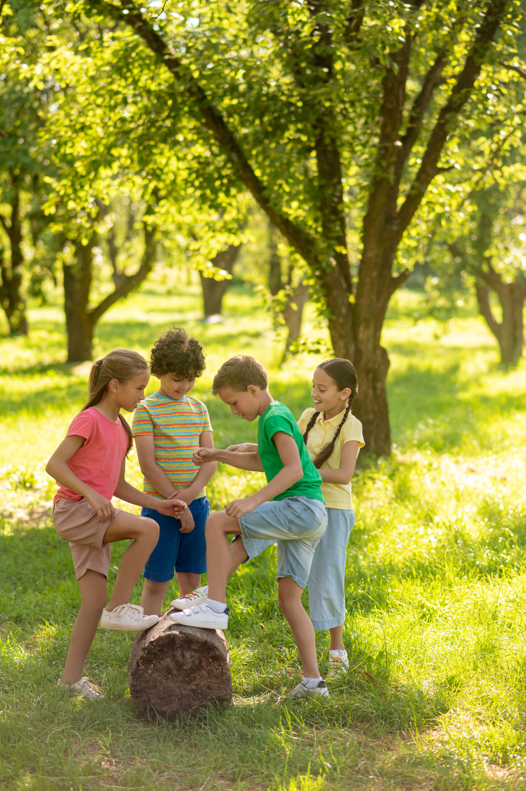 School children near stump in green park
